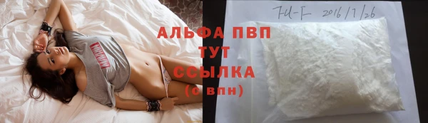 винт Алексин